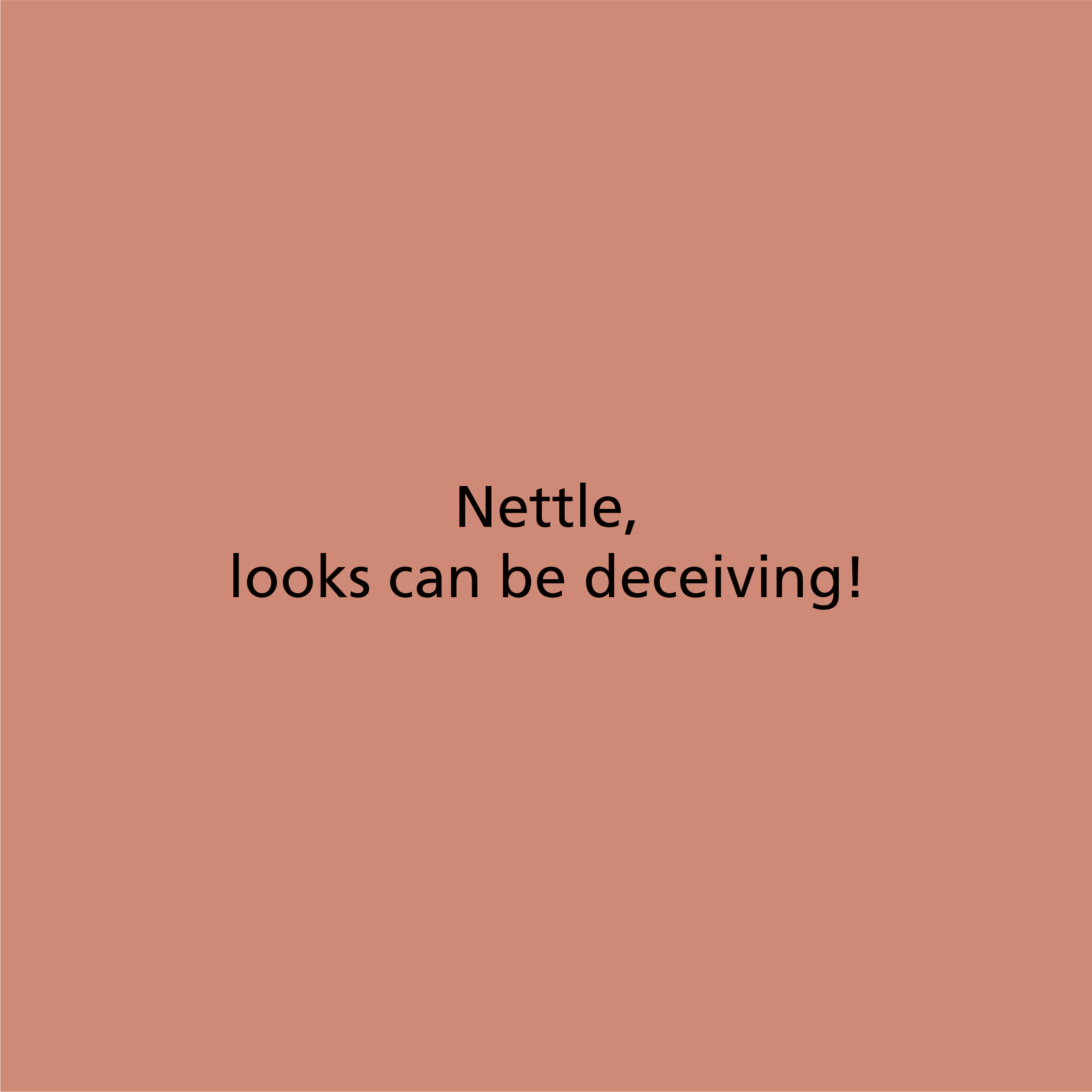 Nettle